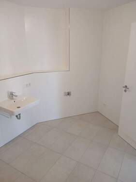 20260312_110320_resized.jpg - 