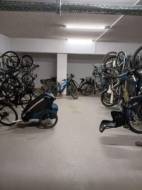 20260312_105054_resized.jpg - 