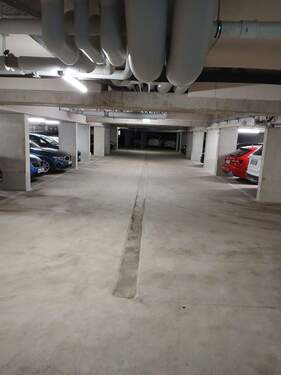 20260312_105120_resized.jpg - 