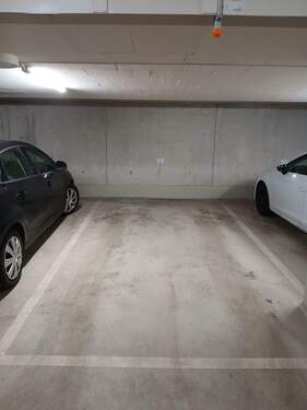 20260312_105153_resized.jpg - 