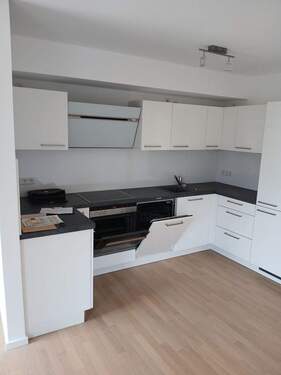 20260312_110410_resized.jpg - 