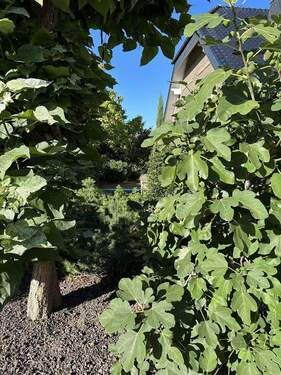 Bild 10 - 