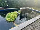 Bild 11 - 