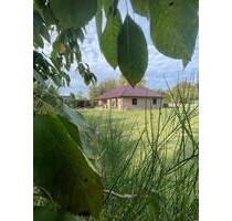 Wunderschönes energieeffizientes und modernes Einfamilienhaus mit sehr großem Grundstück - Bastorf OT Zweedorf