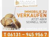 1_Schnecke - 