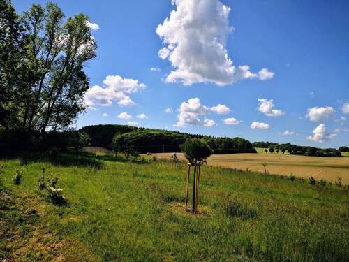 Fernblick nach Süd-Westen - 