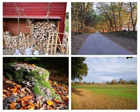 Impressionen Umgebung - 