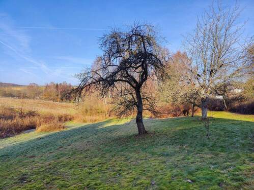 Grundstück - Einfamilienhaus mit 193,00 m&sup2; in Altenkirchen VG zum Kaufen