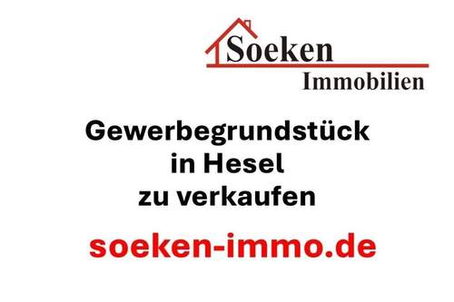 Hauptbild - Gewerbegrundstück in Hesel *HF2516*