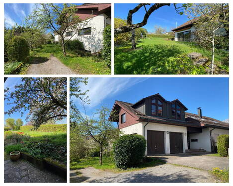 Bild 1 - 3 Wohnungen + Studio 
