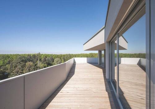 Aussicht mit Wald - 