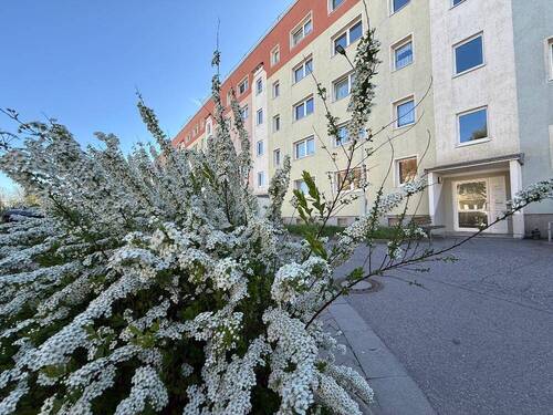 Gebäudeansicht - Auf der Suche nach 3 Räume mit Balkon?