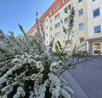 Auf der Suche nach 3 Räume mit Balkon? - Wilkau-Haßlau
