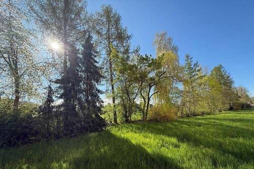 ... und nochmal - 