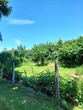 Teilansicht Gartengrundstück - 