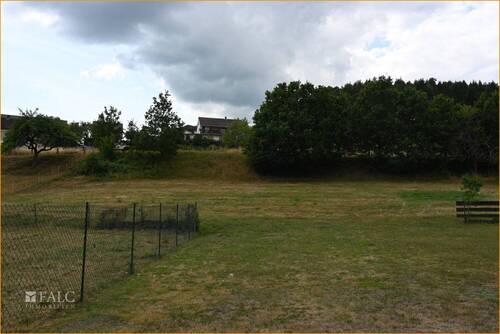 Wiese in der Umgebung - 