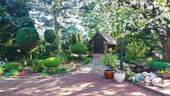Gartenlandschaft - 