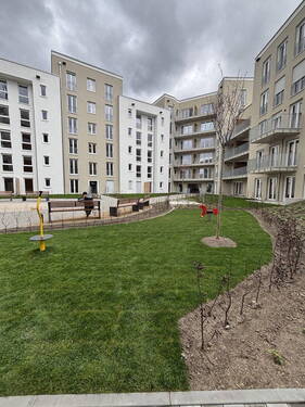 Bild 11 - 