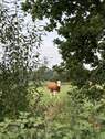 Bild 27 - 