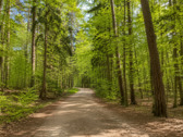 Forstenrieder Park - 