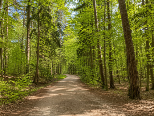 Forstenrieder Park - 