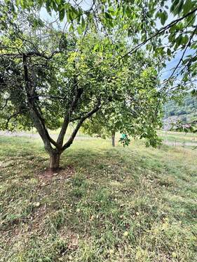 Bild 15 - 