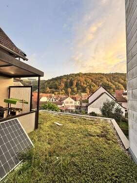 Bild 3 - 6 Zimmer Einfamilienhaus in Annweiler