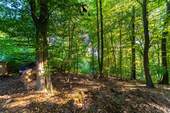 Grundstücksumgebung - 
