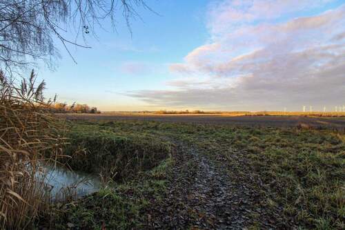 Feld hinter dem Grundstück - 
