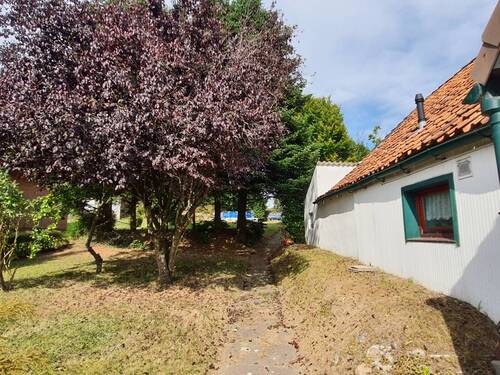 Seitenansicht - Einfamilienhaus mit 110,00 m² in Bargenstedt zum Kaufen