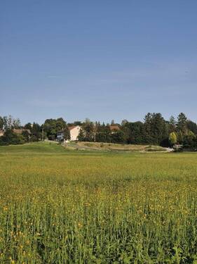 Weitansicht Süd-ost - 