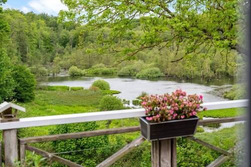 Ausblick - 