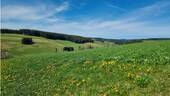 24. Aussicht Naherholung - 
