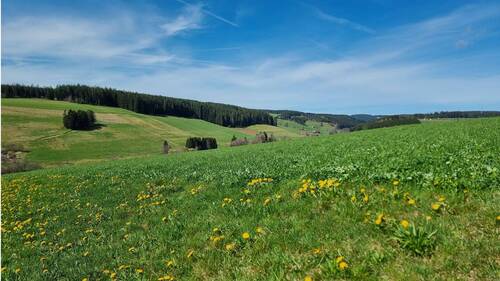 24. Aussicht Naherholung - 