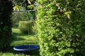 Bild 11 - 
