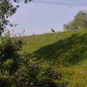 Bild 12 - 