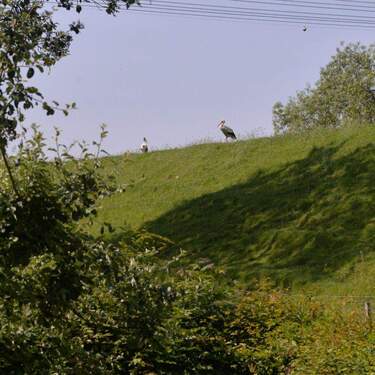 Bild 12 - 