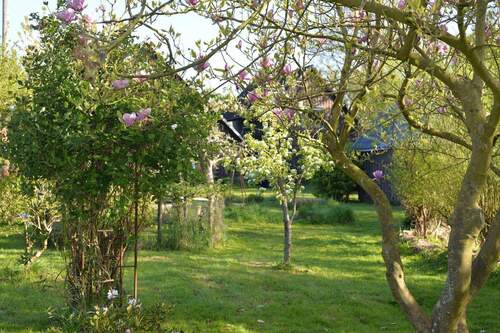 Bild 9 - 