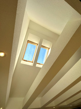 offene Decke + Dachfenster - 