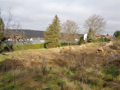 Bild1 - Baugrundstück in Kreuzwertheim mit ca. 1.681m² und Spessartblick