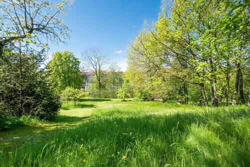 Ansicht Verdichtungsfläche - 