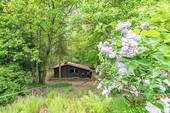 Waldhaus - 
