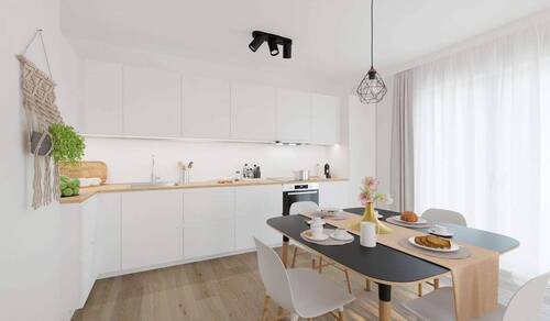 Offene Wohnküche - Werthaltige Ferienwohnung auf Usedom