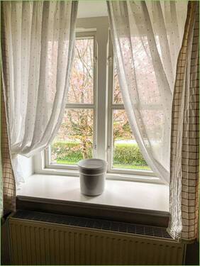 Blick in den Vorgarten - 