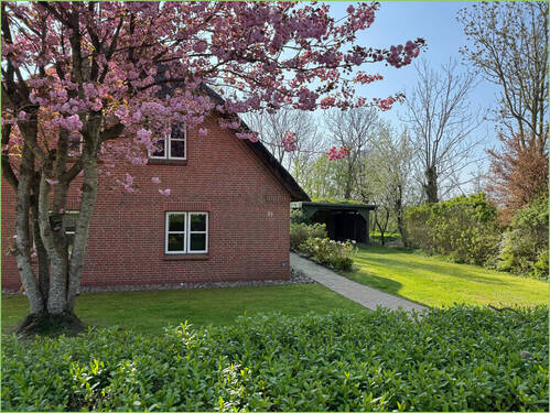 Auffahrt mit Carport - 