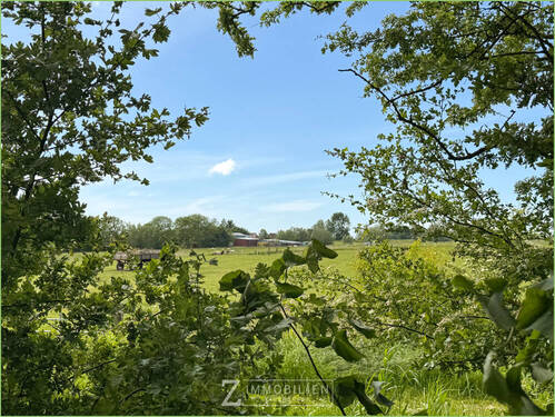 Blick über die Felder - 