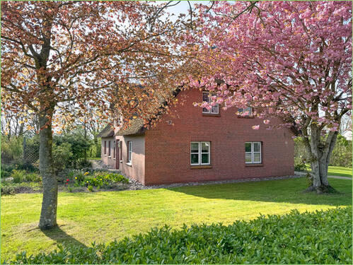 Kirschblüte im Wasserkoog - 5 Zimmer Einfamilienhaus zum Kaufen in Tetenbüll / Wasserkoog