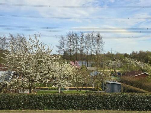 Blick auf den Park mit See - 