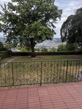 Blick in der Garten - 