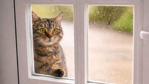 Wer schaut denn da rein? - 